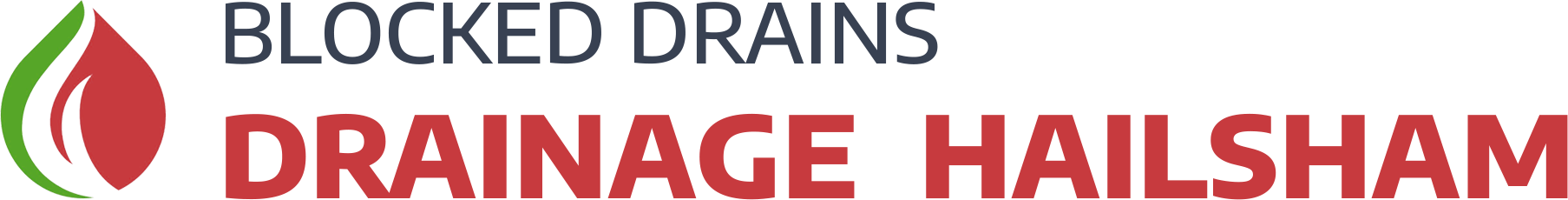 website logo